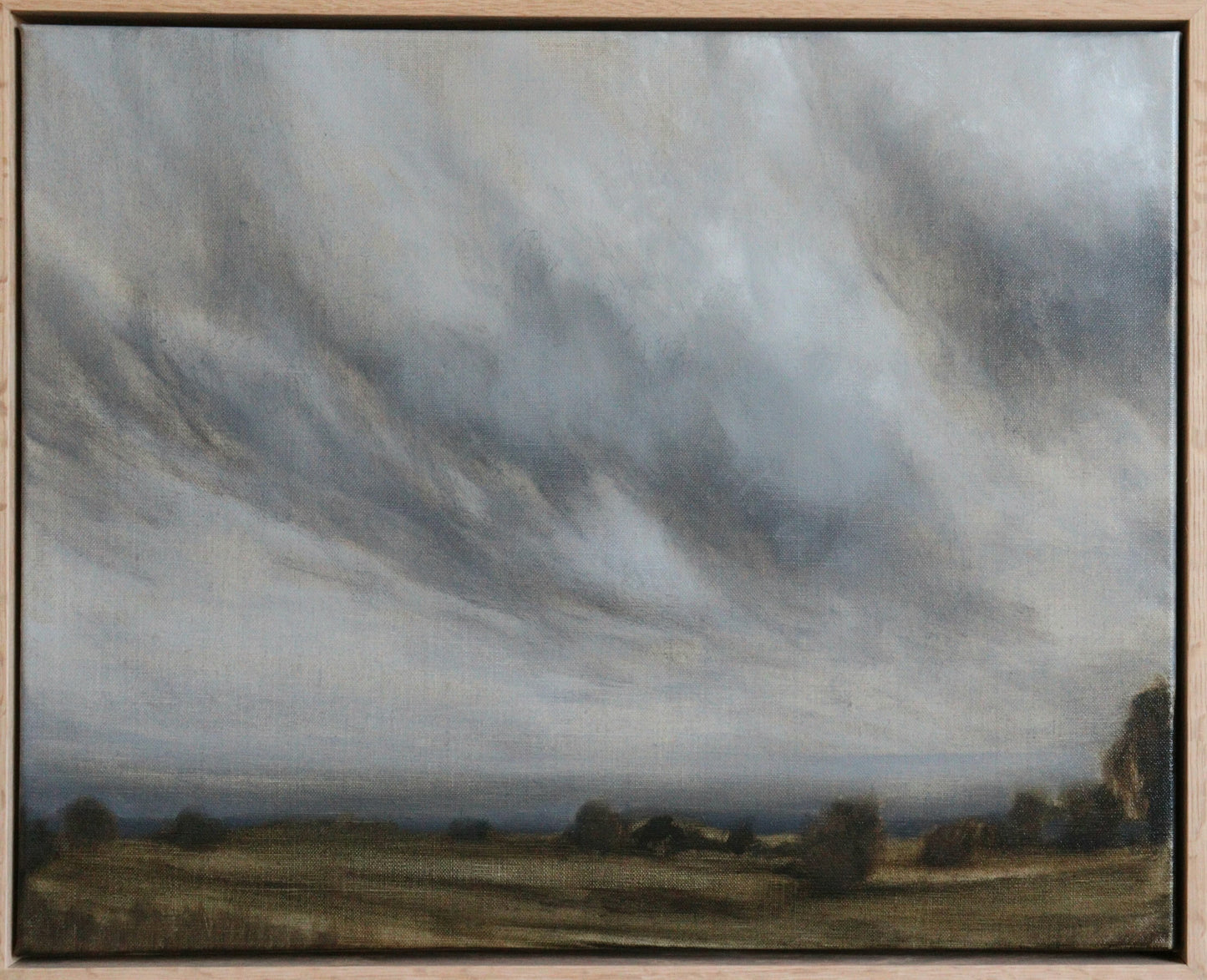 Ciel couvert au-dessus des champs