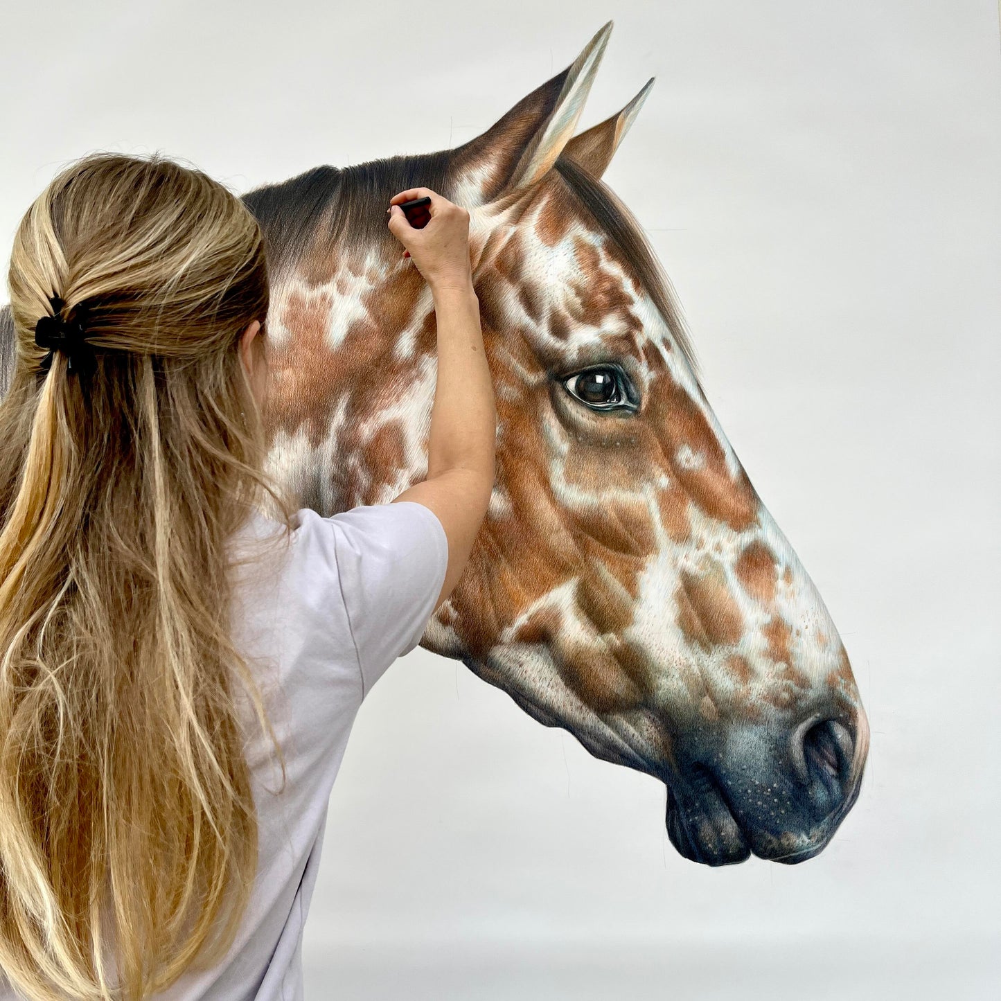 Appaloosa Love