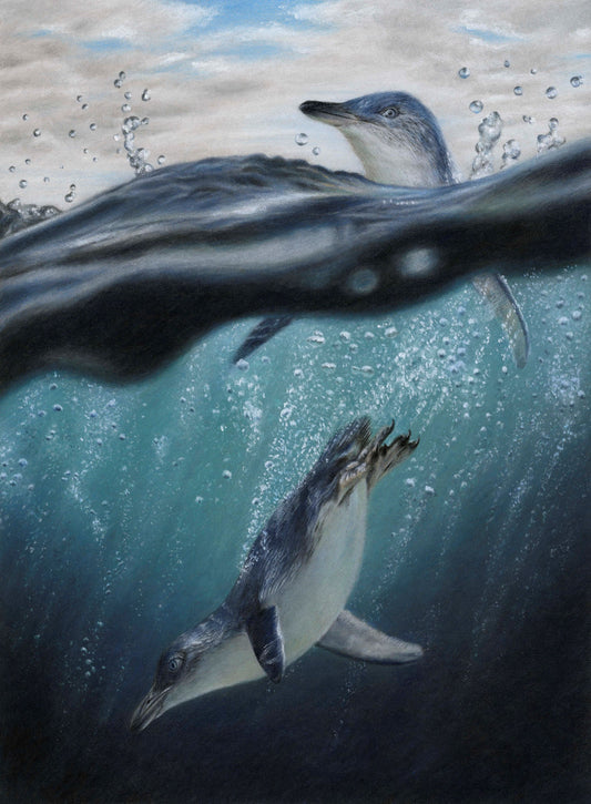 In Their Element (little penguins)