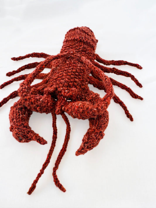 Marion Bay Cray