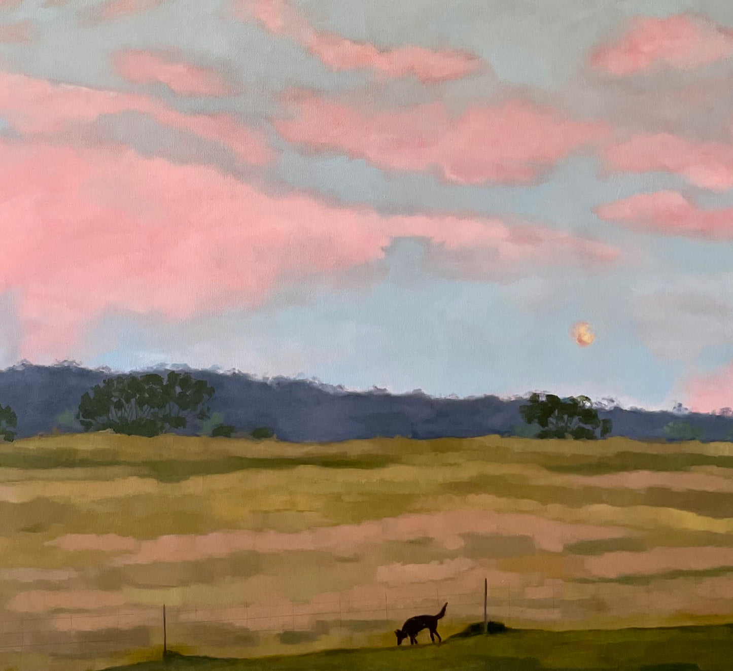 Doug at Sunrise
