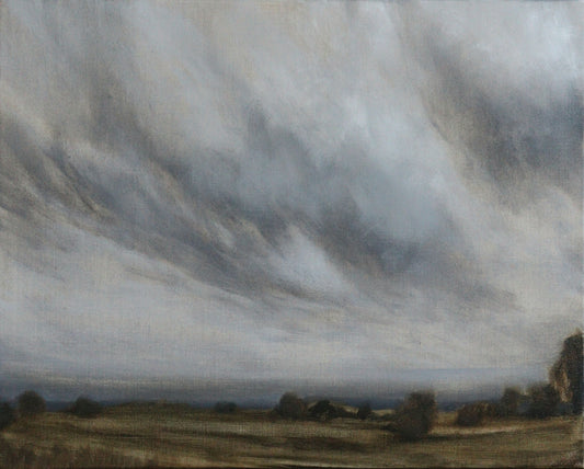 Ciel couvert au-dessus des champs