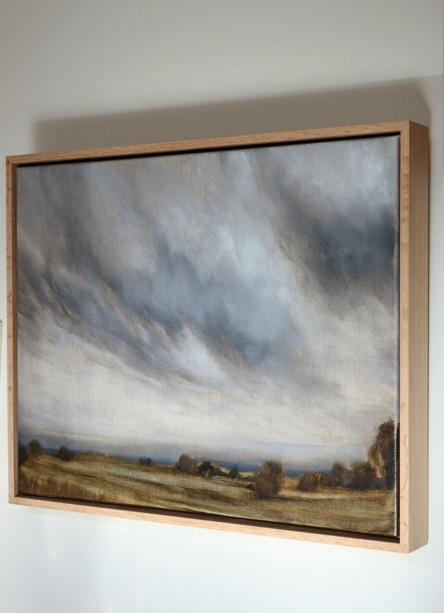 Ciel couvert au-dessus des champs